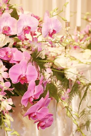 会う前から相性が分かるDNA婚活